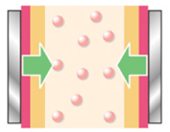 エレクトロポレーションイラスト